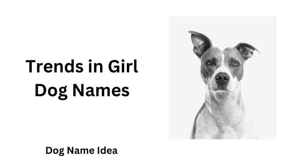 Dog Name Idea