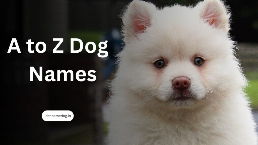 a to z dog name