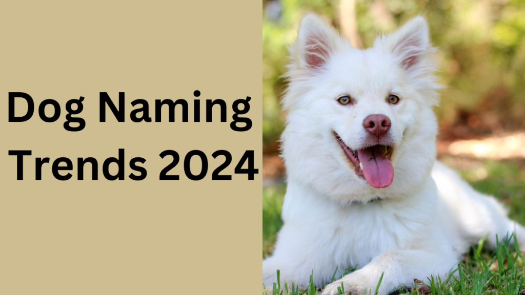 Dog Naming Trends 2024