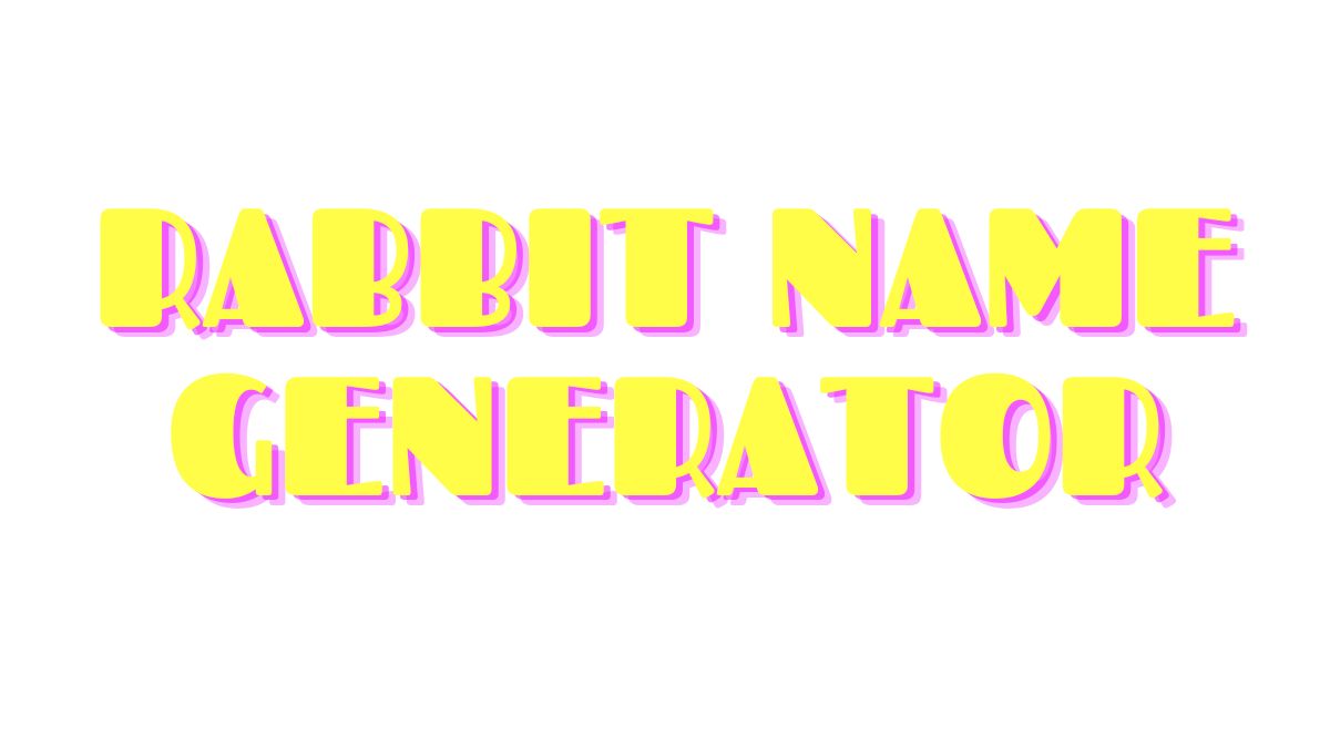 Rabbit Image