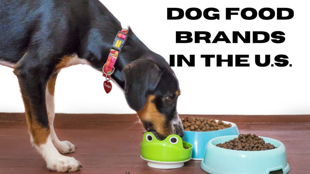 Dog Food Brands in the U.S.